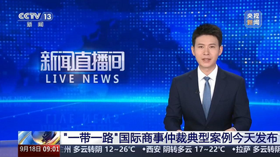 “一带一路”国际商事仲裁典型案例发布