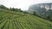 Across China: Transport upgrades bringing China's mountain riches to the world