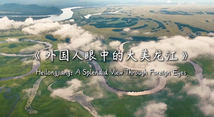 Foreign influencers explore spectacular scenery of northeastern China in Heilongjiang