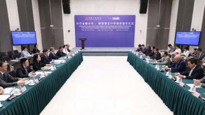 新华鲜报丨年内发行超2400亿元，熊猫债缘何火热