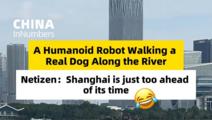 ChinaInNumbers | A humanoid robot walking a real dog along the river