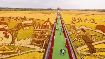 Economy&Life | People across China celebrate Chinese farmers' harvest festival