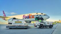 Pair of Chinese giant pandas arrives in U.S. city Atlanta