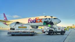 Pair of Chinese giant pandas arrives in U.S. city Atlanta