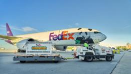 Pair of Chinese giant pandas arrives in U.S. city Atlanta