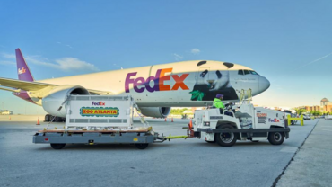 Return of Chinese giant pandas to Zoo Atlanta exciting, says zoo VP