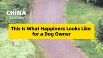 ChinaInNumbers | This is what happiness looks like for a dog owner