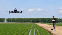 Across China: International journalists witness smart agriculture transform China's breadbasket