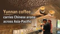 Brewing new trails, Yunnan coffee carries Chinese aroma across Asia-Pacific
