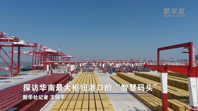 探访华南最大枢纽港口的“智慧码头”