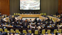 Global Development Initiative supports development with practical measures, says South Centre chief