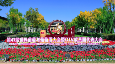 Global vine, wine congress kicks off in northwest China's Ningxia