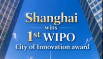 Shanghai wins 1st WIPO City of Innovation award