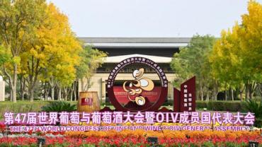 Global delegates eye new wine industry landscape at China's top wine base