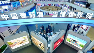 6th China (Ningxia) Int'l Wine Culture and Tourism Expo held in Yinchuan