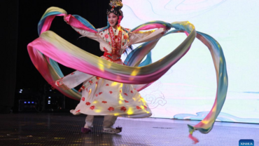 Feature: Chinese Wu Opera bridges cultures in Zimbabwe