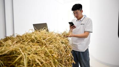 记者手记：向北开放前沿的金融“新”答卷