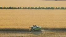 Harvest in full swing across China's black soil heartland