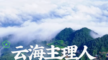 云海主理人