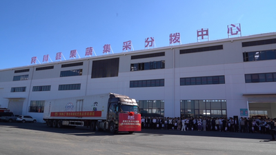 大理宾川“宾果汇”内外贸一体化双平台揭牌启用