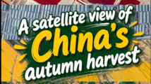 A satellite view of China's autumn harvest