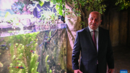 Interview: Maltese bluefin tuna producer sees bigger opportunities in China