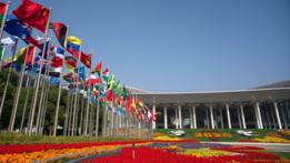 Interview: More than an expo, Rwanda sees CIIE as a link to Chinese market, says official