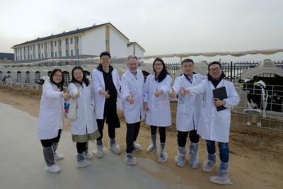 从瓦赫宁根到内蒙古：一位荷兰专家亲历的中国乳业创新之旅