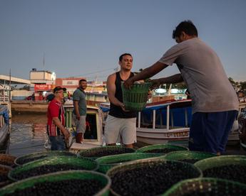 “世界中部之都”：从亚马孙门户到中巴互利合作枢纽