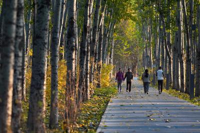 这场智库交流为全球超大城市治理带来哪些启示？