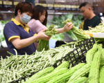 China has favorable conditions to maintain overall price stability: central bank