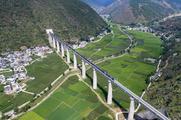 China's rail cargo volume up 5.9 pct in first seven months