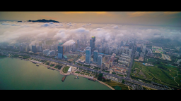 青岛自贸片区三周年建设者说