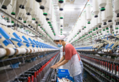 Economic Watch: China's robust business registration indicative of resilient economy