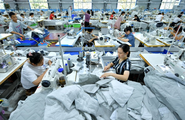Chinese SMEs continue recovery momentum