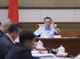 Chinese premier stresses policy implementation to stabilize economy 