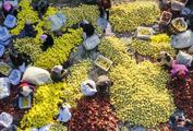 How China wins poverty fight, advances rural revitalization 