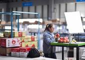 China's warehouse storage sector grows in September