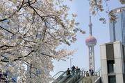 Economic Watch: China strengthens financial policy support to shore up housing market