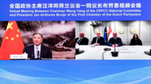 China's top political advisor meets with Dutch senate leader