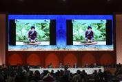 China's traditional tea-making enters UNESCO cultural heritage list 