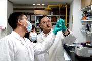 Chinese scientists use plant device to revitalize animal cells