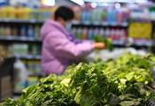 Economic Watch: China's consumer inflation eases, factory prices likely to recover