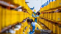China's economy sustains resilience in first 11 months
