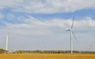 China's renewable energy capacity expands in Jan-Nov