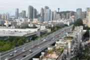 China's used car market less lively amid COVID-19 resurgences