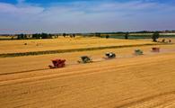 Agriculture, related industries account for 16.05 pct of China's GDP