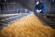 China's grain purchase expected to hit 400 mln tonnes in 2022