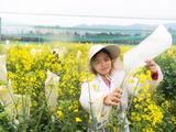 Rapeseed oil, peanut kernel futures from Zhengzhou Commodity Exchange open to overseas traders