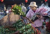 Asia's leading flower market blossoms as consumption recovers rapidly